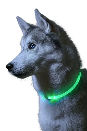Auraglow Collare per Cani LED Luminoso Super Brillante Guinzaglio di Sicurezza ad Alta visibilità Lampeggiante per Animali Domestici …