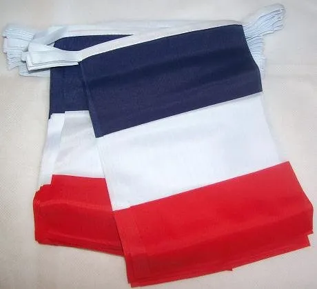 AZ FLAG Ghirlanda 6 Metri 20 Bandiere Francia 21x15cm - Bandiera Francese 15 x 21 cm - Festone BANDIERINE