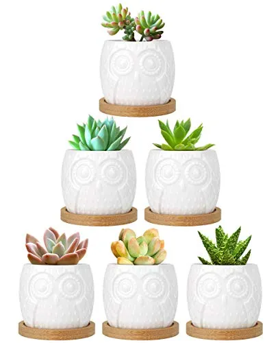 Luxspire Set di 6 Vasi per Succulenti, Mini Vaso da Fiori in Ceramica Bianca Forma di Gufo con Vassoio di bambù, Contenitori Vasi di Fiori per Piante Succulente Cactus Decorazione da Scrivania Tavolo