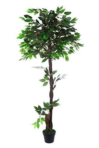 XXL Fico Ficus con jwt005 gigante artificiale con vero legno Tamm Verde Ficus Benjamin 160 cm di altezza, pianta artificiale, fiore artificiale, Albero Arte, Camera da letto Pianta Artificiale