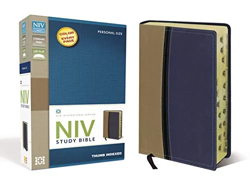 Study Bible: New International Version, Tan/Blue, Italian Duo-Tone, Personal Size