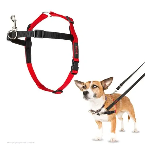 Pettorina a controllo frontale HALTI - Per impedire al cane di tirare il guinzaglio, regolabile, leggera e semplice da utilizzare. Pettorina da addestramento anti-trazione per cani piccoli (Taglia S)