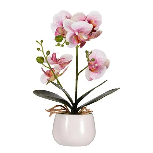 Asvert Phalaenopsis Fiori Orchidea piantina Finta con Vaso Artificiali Vaso di Orchidee Bonsai in Vaso con Vaso Arredamento per la casa Decorazione per la Festa Nuziale Rosa