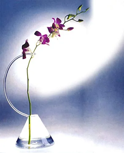 Massimo Lunardon – Design unico vaso orchidea. Soffiato a mano arte vetro unico