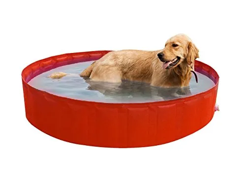 New Plast 0102 - My Dog Pool Piscina per Cani, 140 x 30 cm (ØxH)