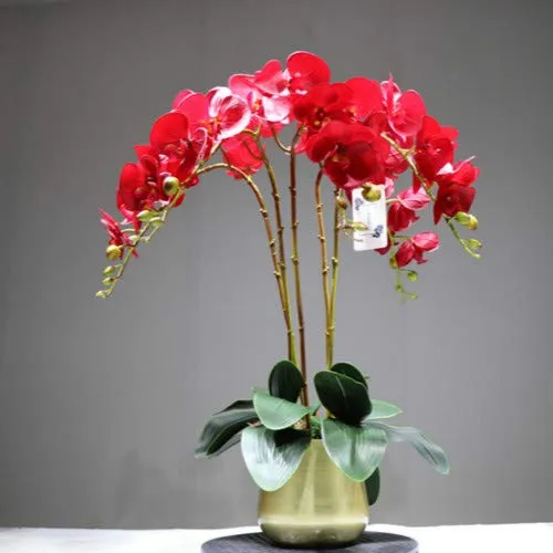 shenlanyu Fiore Artificiale Orchidee Rosse di Indigo Phalaenopsis 7 Teste Real Touch Orchidee di Fiori Decorazioni Floreali di Nozze Orchidee Festa Floreale