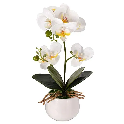 Asvert Phalaenopsis Fiori Orchidea piantina Finta con Vaso Artificiali Vaso di Orchidee Bonsai in Vaso con Vaso Arredamento per la casa Decorazione per la Festa Nuziale