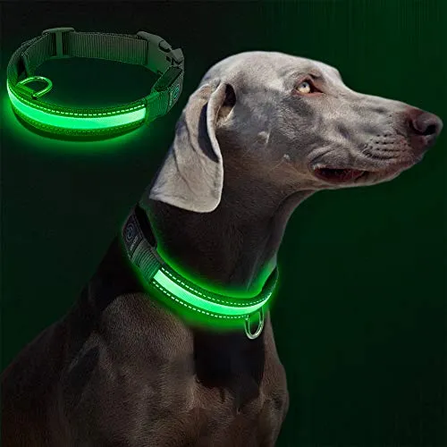 Collare LED per Cani, Raffaelo Collare LED per Cani di Sicurezza di Nylon Luminoso Notte Dog Band con USB Collare Ricaricabile Glow Sicurezza Luminoso per Cani - M (36-51CM/14-20, Gancio di Plastica)