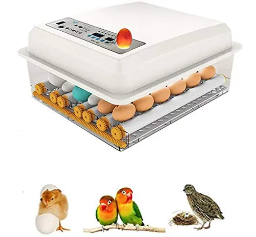 InLoveArts Incubatrice digitale per uova, incubatrice digitale per uova con rotazione automatica di 16 uova per uso domestico con funzione di controllo della temperatura di Turner
