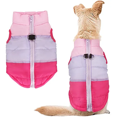 Idepet cappotto per cane e gatto con guinzaglio di ancoraggio, colore patchwork, gilet imbottito per cucciolo, chihuahua, carlin