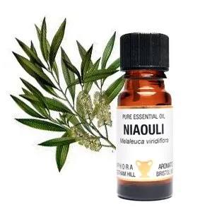 Niaouli Pure Essential Oil 10 ml, ambra-Bottiglia in vetro a goccia con Amphora Aromatics; clearing. antisettiche, ideale per freddi o chill-Venduto da Spiritual Gifts. Generalmente la consegna avviene entro 2 giorni lavorativi