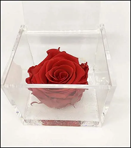 A 1202 Cuberose Cubo Rosa Stabilizzata Cuore Rosso 12cm 12x12x12 Il Cubo con Una Vera e Propria Rosa eterna, Dura più di 5 Anni, Non ha Bisogno di Acqua ne Luce Premium-Rose