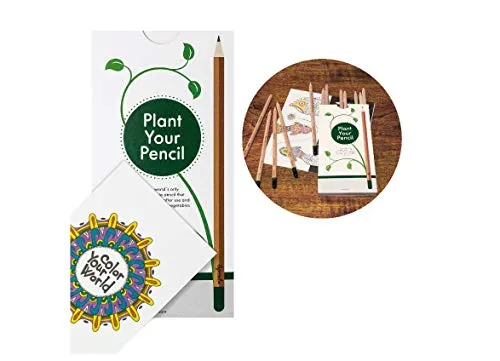 Sprout Pencils | Edizione di colori da viaggio per bambini delle matite Sprout | Grafite piantabile, legno naturale e sostenibile | Scatola da 12.