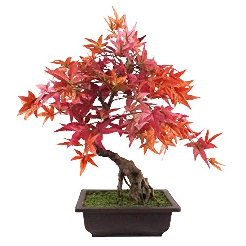 Leaf Foglia 50 cm Artificiale Albero, Bonsai in Acero Rosso, 60 cm