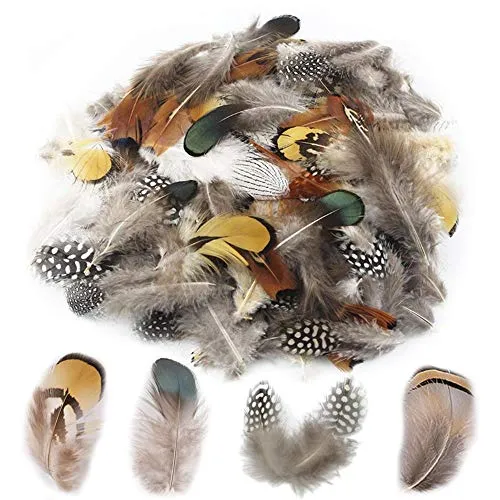 Anyasen Piume Artigianali 200Pcs Piume di Pollo Artificiale Piume Colorate Piuma di Fagiano Piume per Le Feste di Compleanno e Matrimonio DIY Dream Catchers Craft