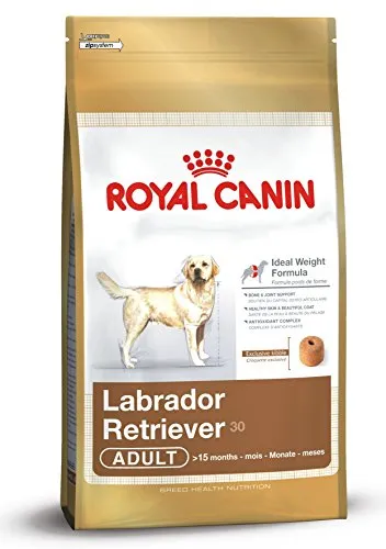 Royal Canin Alimento Cane Labrador, Pollo - 12000 gr