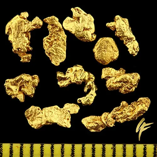 Autentiche pepite d'oro dell’Alaska da 2 – 5 mm in elegante scatola portamonete con certificato