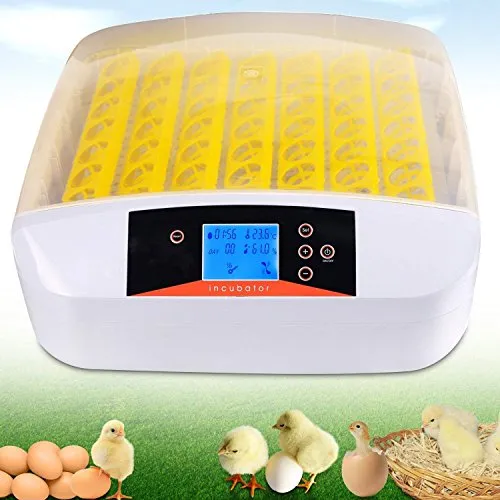 Incubatrice automatica da 56 uova Incubatrici con display digitale e controllo della temperatura efficiente e intelligente rotazione automatica e controllo della temperatura efficiente e intelligente