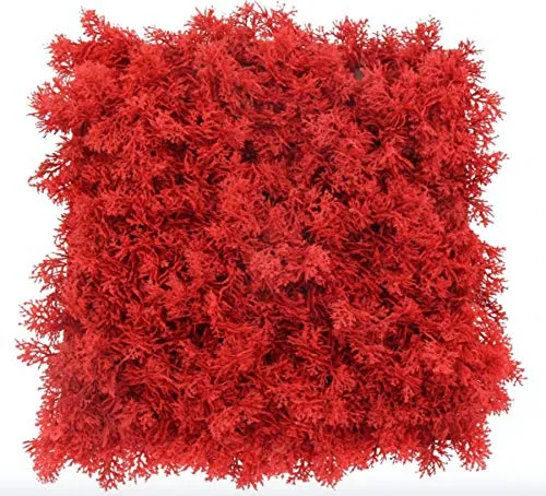 Pannello Lichene Artificiale Rosso da Arredo Interno e Esterno Resistente ai Raggi U.V. 50x50 cm (0,25 mq circa) (Rosso)