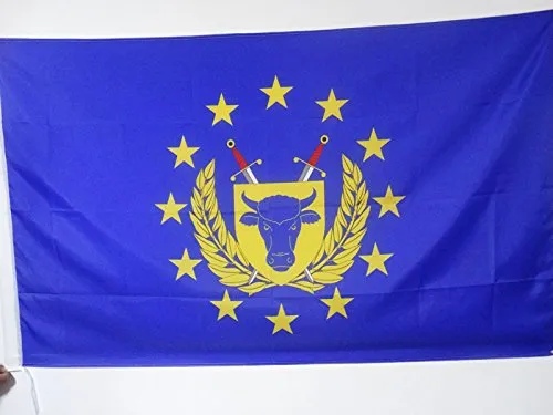 AZ FLAG Bandiera Forze Armate DELL'UNIONE Europea 150x90cm - Bandiera ARMATA UE - Europa 90 x 150 cm Foro per Asta