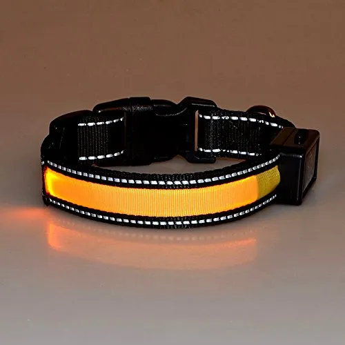 LaiXin Collare Cane, Collare Luminoso per Cani con USB e Ricaricabile Solare, Impermeabile Collare LED per Cani Ricaricabile, Giallo(S, 30cm~40cm, 7.5kg~15kg)
