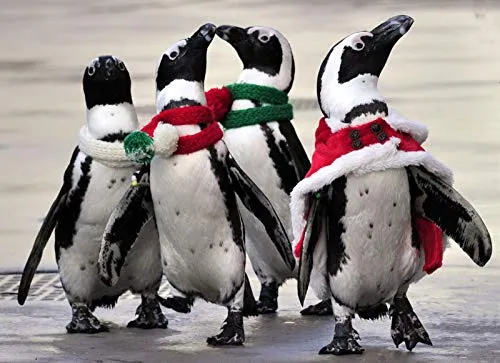 Adult Puzzles 1000 Pezzi Puzzle di Legno Bambini-Pinguino Che Indossa Una Sciarpa-Bambino DIY Gioco Casual di Arte Giocattoli Interessanti Amico Famiglia Adatto