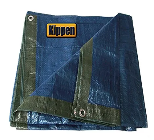 Kippen 6056D Telone Occhiellato, Verde/Blu, 5 x 8 m