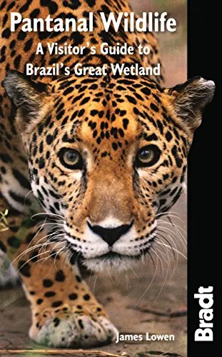 Pantanal Wildlife: A Visitor's Guide to Brazil's Great Wetland [Lingua Inglese]