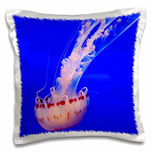 Danita Delimont - Marine Life - Monterey Bay Aquarium - Jellyfish - 16x16 inch Pillow Case (pc_205654_1)