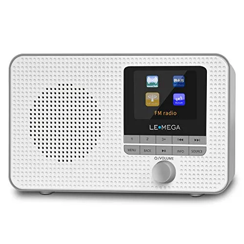 LEMEGA IR1 Radio Internet WIFI portatile,radio digitale DAB/DAB+/FM,Bluetooth,doppio allarme,sveglia,60 preselezioni,uscita cuffie,display a colori,batterie o alimentazione di rete - Finitura Grigia