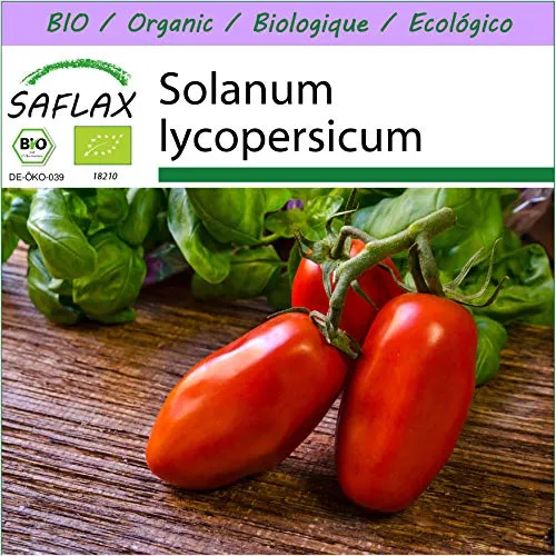 SAFLAX - BIO - Pomodoro - San Marzano - 15 semi - Solanum lycopersicum