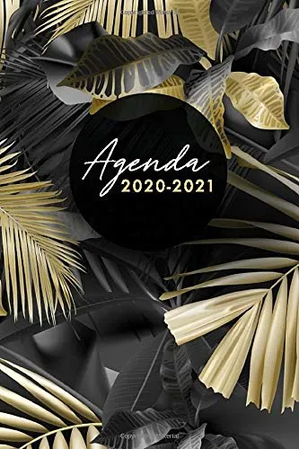 Agenda 2020-2021: Agenda giornaliera 2020 2021, luglio 2020 - dicembre 2021, 18 mesi, formato A6, foglie di palma, colore nero