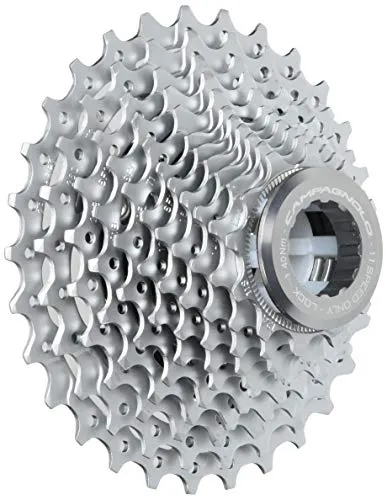 Campagnolo Chorus Pacco Pignoni, Argento, 12 – 29