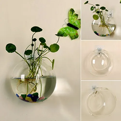 Youliy - Vaso in vetro da appendere alla parete, 12 cm, coltura idroponica, terrario, acquario, per piante e fiori in vaso