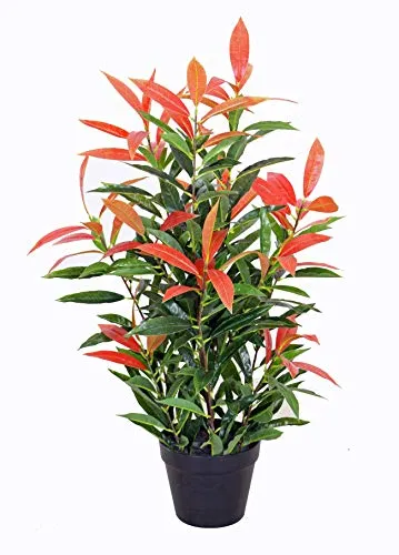 yanka-style - Pianta Photinia artificiale con vaso, circa 80 cm di altezza, articolo decorativo (JWS2641)