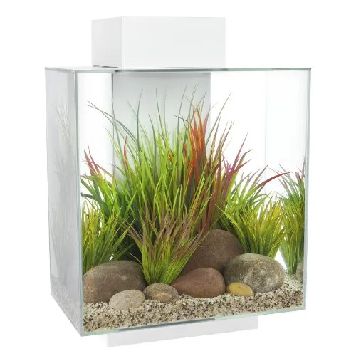 Acquario per Pesci Design in Vetro Fluval Edge 46 Litri 43x35x59,4 cm Askoll