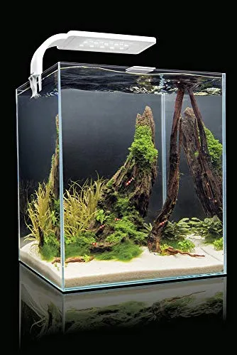 Aquael - Set Acquario per Gamberetti con Illuminazione Moderna A Led Smart,  25 x 25 x 30 and 19 litri