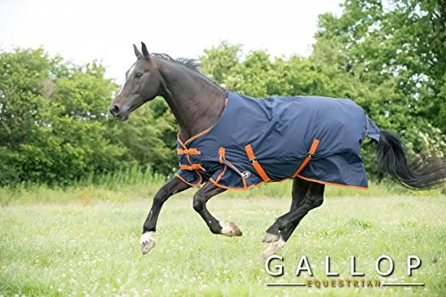 Gallop Trojan 100g Tappeto da taglio per cavallo - 115cm