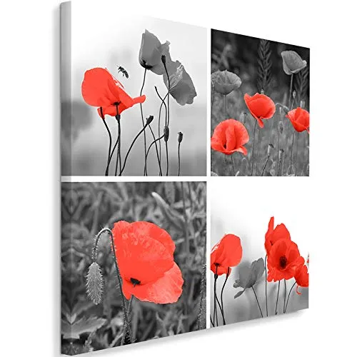 Quadro Stampa Moderno Natura Foto su Tela Papaveri Flora Collage rosso 80x80 cm