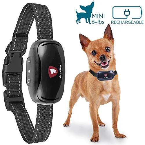 GoodBoy Collare Gentile Antiabbaio per Cani Piccoli – Dispositivo Antiabbaio A Vibrazione con Nuovo Design 2018 E Aggiornamento del Microchip per Un Miglior Riconoscimento dell’abbaio