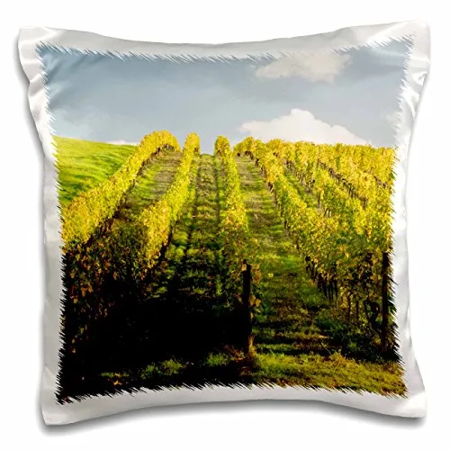 Danita Delimont - Vineyards - Italy, Tuscany. Steep hills of vineyards in the Chianti region. - 16x16 inch Pillow Case (pc_207047_1)