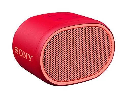 SRS-XB01 - Speaker wireless portatile con EXTRA BASS, Resistente all'acqua, Bluetooth, Rosso