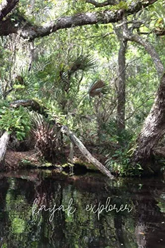 Kayak Explorer: Mangrove Canopy 6x9 Combo Dot Grid Plus Lines