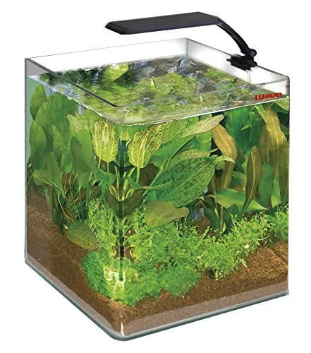 Wave Acquario Box Cubo 25 Orion