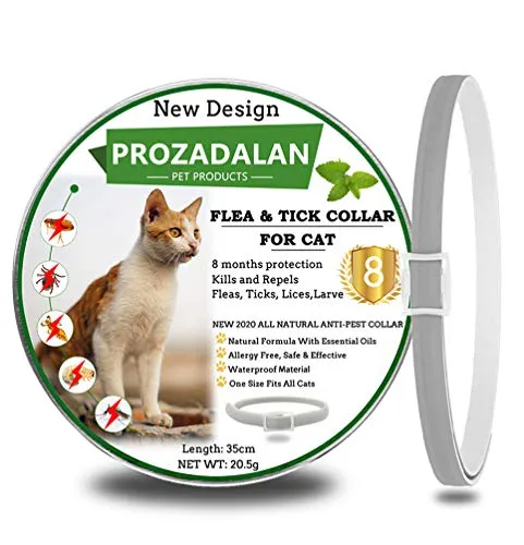 Collare Antipulci per Gatti, 100% di ingredienti naturali, trattamento e prevenzione delle pulci e delle zecche di 8 mesi, 35 cm regolabile e impermeabile, taglia unica per tutti i gatti (1pack)