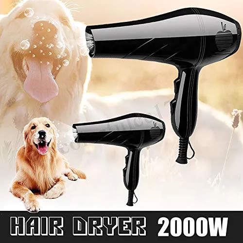Generico r Professi Professional Hot Grooming Ha Hair Dryer Cold Win Freddo Wind fusore Soffiatore Pet Dog Toelettatura Diffusore