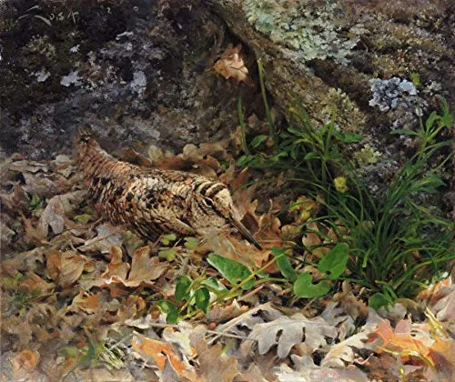Beccaccia, pittura"Becada in cucciolata" Beccaccia (Scolopax rusticola) 37 x 31 cm. Immagini di animali, uccelli, caccia