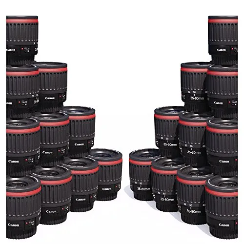 Canon - Obiettivo macro 1:1 EF 35 - 80 mm f 4-5.6, per messa a fuoco a distanza ridotta     Ingrandimento 1,8x 0,9x 0,4x 0,7x Filtro da 52 mm Per EOS 5D 7D 60D 550D 600D 650D 700D 1000D 1100D e altri modelli