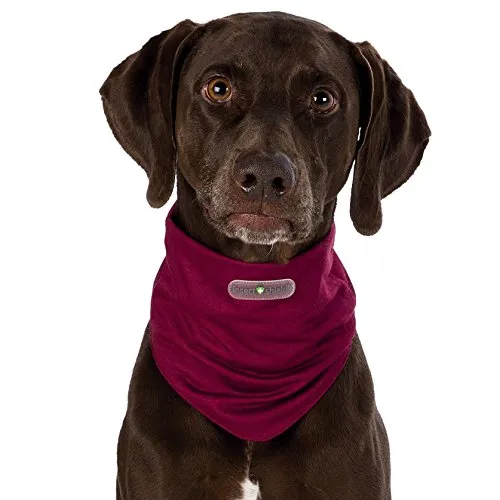Insetto Shield® - Passante per cani invisibile, inodore, protezione per insetti (L - collo 50 cm, colore: Bordeaux)