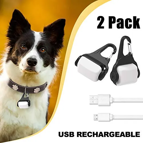 Derlights Luce per collare per cani a LED, Luce per collare per cane ricaricabile USB, Luce per collare per animali impermeabile IP65, Luce di sicurezza per il buio